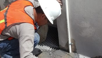 WhatsApp Image 2026-03-19 at 12.24.57 PM