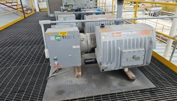 WhatsApp Image 2026-03-19 at 12.25.01 PM