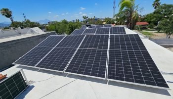 WhatsApp Image 2026-03-19 at 12.25.02 PM