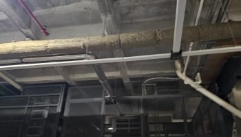 WhatsApp Image 2026-03-19 at 12.26.21 PM (1)