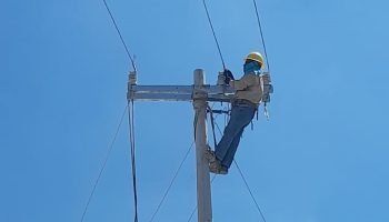 WhatsApp Image 2026-03-19 at 12.28.28 PM (1)