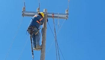 WhatsApp Image 2026-03-19 at 12.28.28 PM (3)