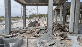 WhatsApp Image 2026-03-19 at 12.30.06 PM (5)