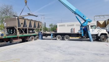 WhatsApp Image 2026-03-19 at 12.30.51 PM