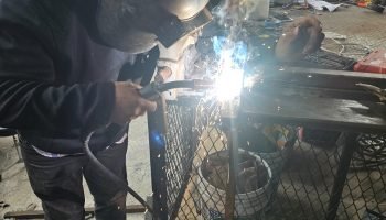 WhatsApp Image 2026-03-19 at 12.31.50 PM (1)