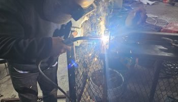 WhatsApp Image 2026-03-19 at 12.31.50 PM